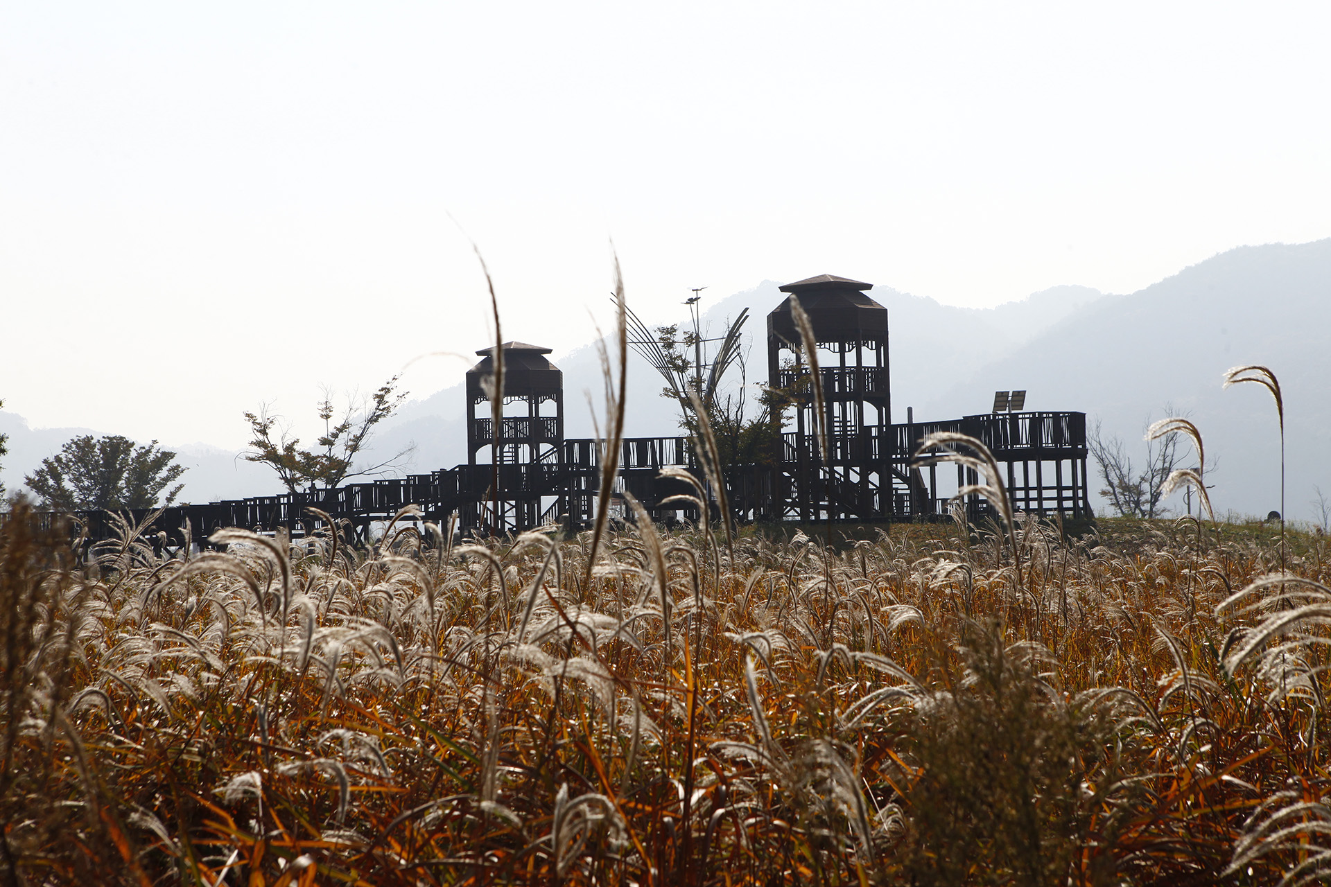 남지수변공원 억새전망대